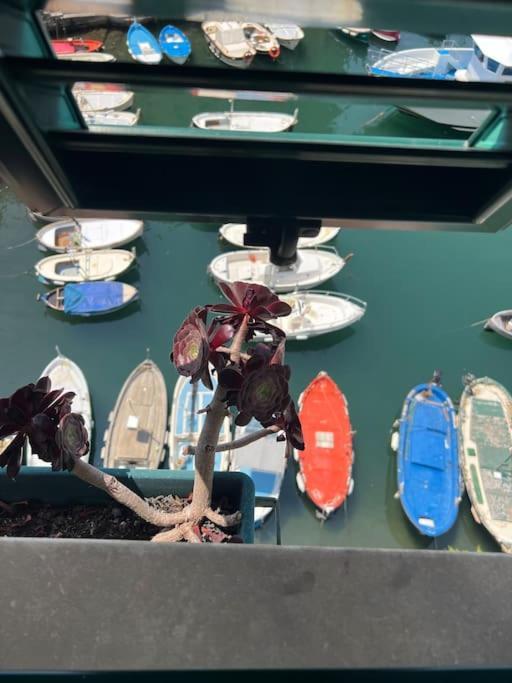 Attico Sul Porticciolo Antico Di Camogliアパートメント エクステリア 写真